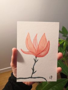 Magnolia 1.jpg