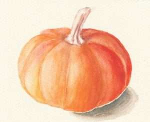Citrouille.jpg