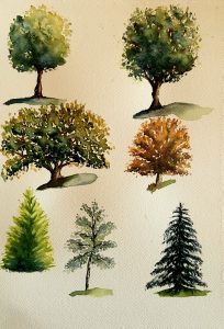 arbres.jpg
