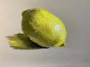 Citron entier.jpg
