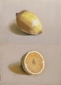 citrons-exercice-1-IMG_20220109_175309[1].jpg