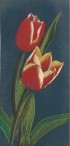 Tulipes pastel 2022.jpg