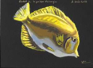 le poisson chirurgien.jpg