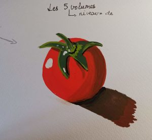 tomate_niveau_05.jpg