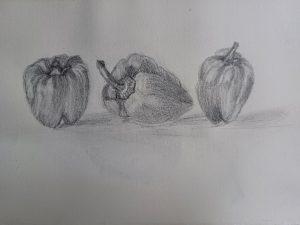 10-Perspective-et-hachures-poivrons