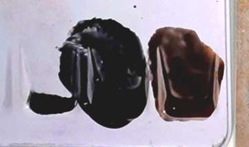merle5-couleurs