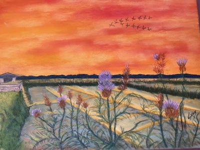 03-2026-pastel-les-couleurs