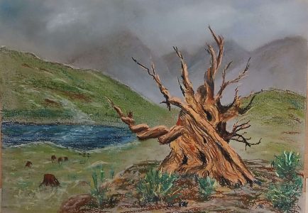 2026_01_23_tourmente